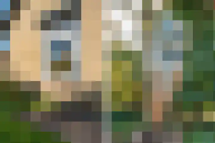 de Schammelte 6 Ommen thumbnail 38