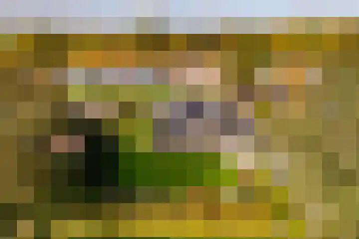 de Schammelte 6 Ommen thumbnail 39