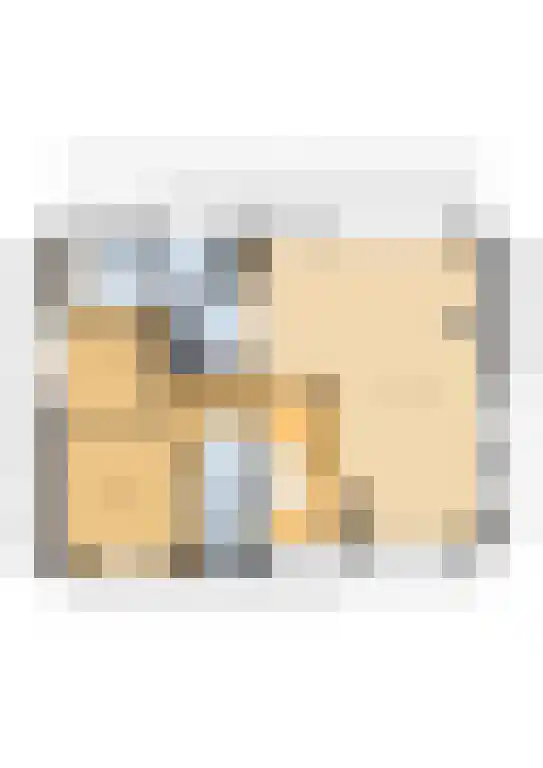 de Schammelte 6 Ommen thumbnail 42
