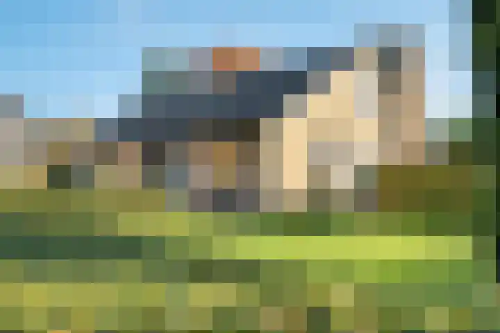 de Schammelte 6 Ommen thumbnail 7