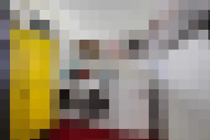 De Schans 1 Dokkum thumbnail 11