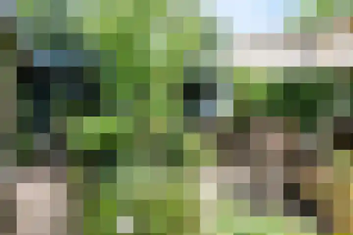 De Schans 1 Dokkum thumbnail 12