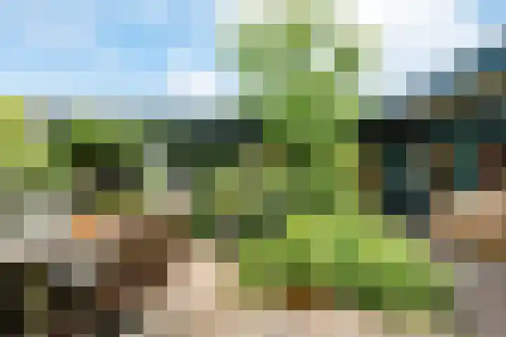 De Schans 1 Dokkum thumbnail 13