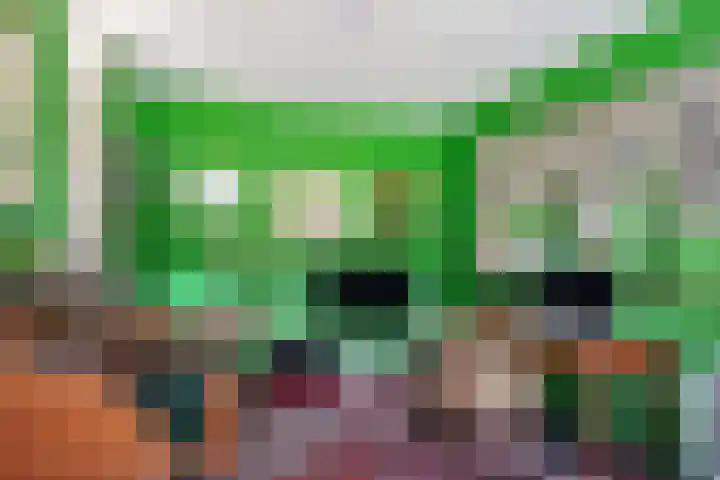 De Schans 1 Dokkum thumbnail 15