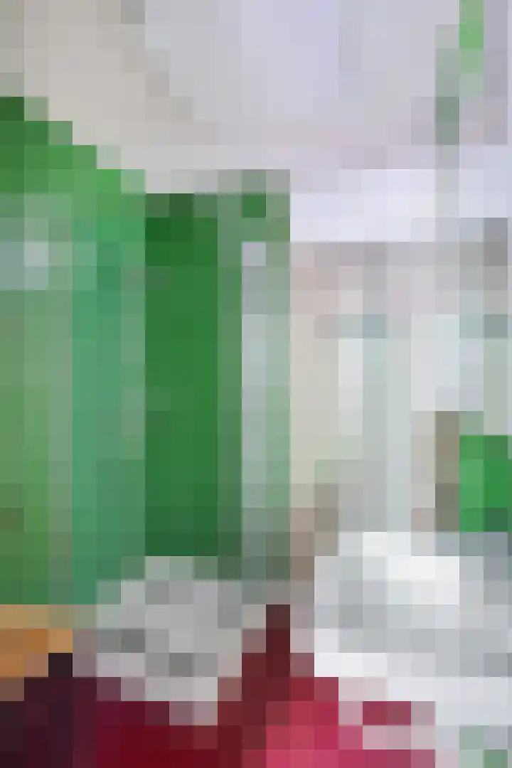 De Schans 1 Dokkum thumbnail 17