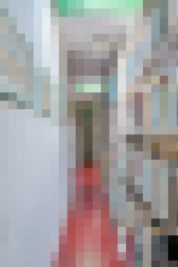 De Schans 1 Dokkum thumbnail 18
