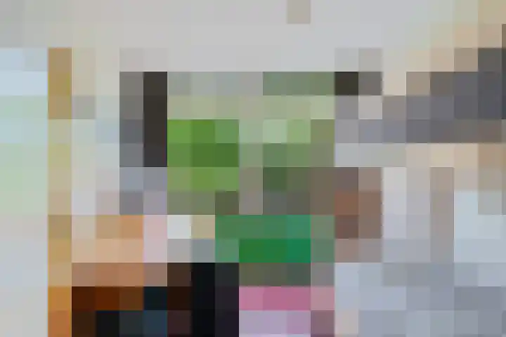 De Schans 1 Dokkum thumbnail 19