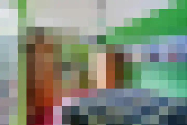 De Schans 1 Dokkum thumbnail 21