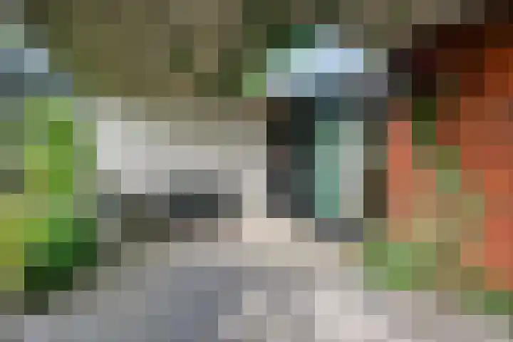 De Schans 1 Dokkum thumbnail 22