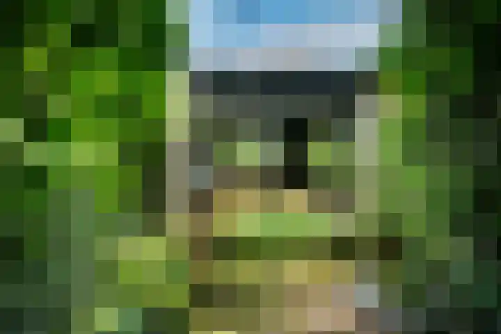 De Schans 1 Dokkum thumbnail 23