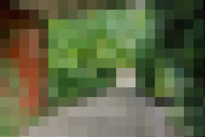De Schans 1 Dokkum thumbnail 24