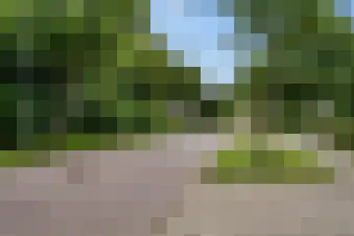 De Schans 1 Dokkum thumbnail 25