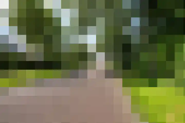 De Schans 1 Dokkum thumbnail 26