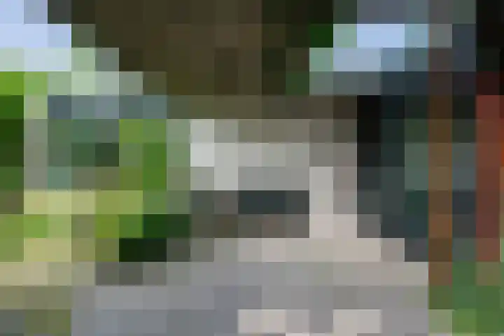 De Schans 1 Dokkum thumbnail 4