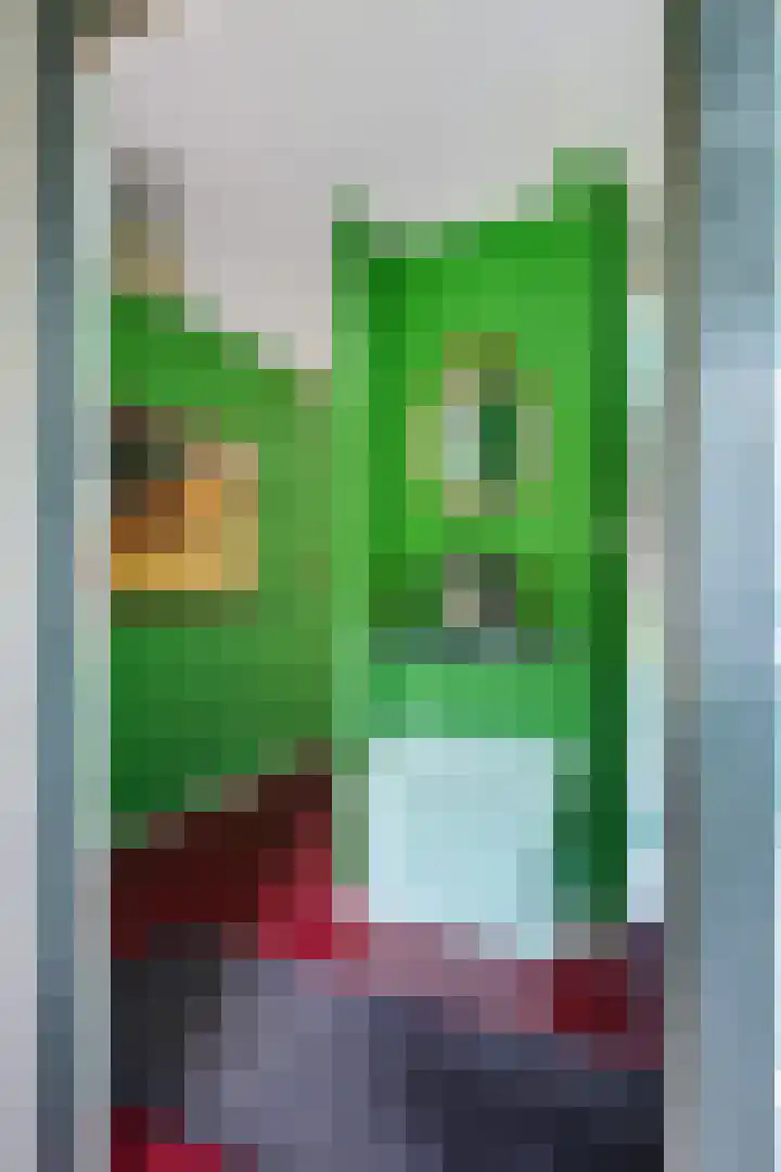 De Schans 1 Dokkum thumbnail 5