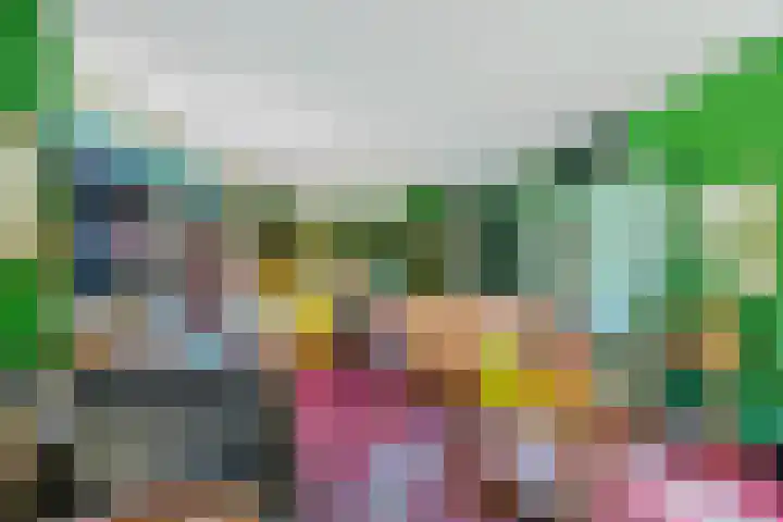 De Schans 1 Dokkum thumbnail 7