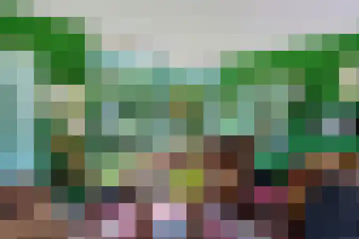 De Schans 1 Dokkum thumbnail 8