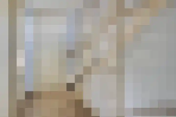 De Schans 1 Haps thumbnail 10