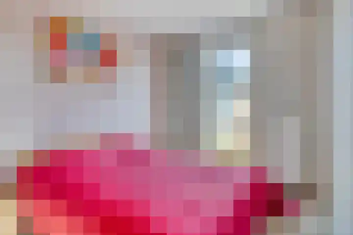 De Schans 1 Haps thumbnail 13