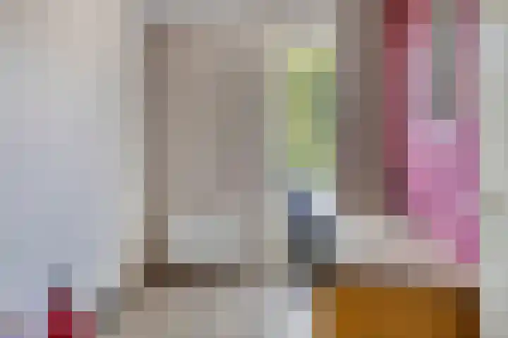 De Schans 1 Haps thumbnail 15