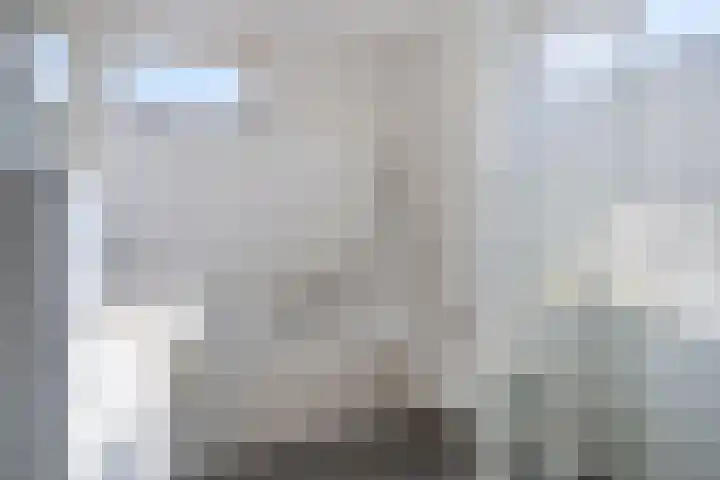 De Schans 1 Haps thumbnail 16