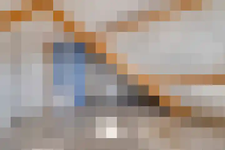De Schans 1 Haps thumbnail 18