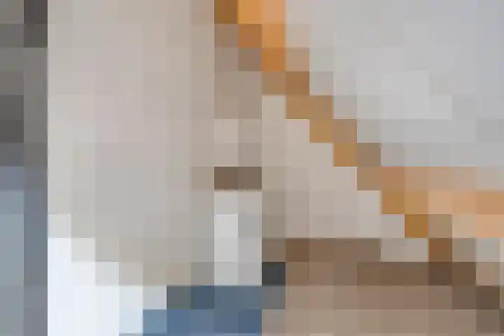 De Schans 1 Haps thumbnail 19