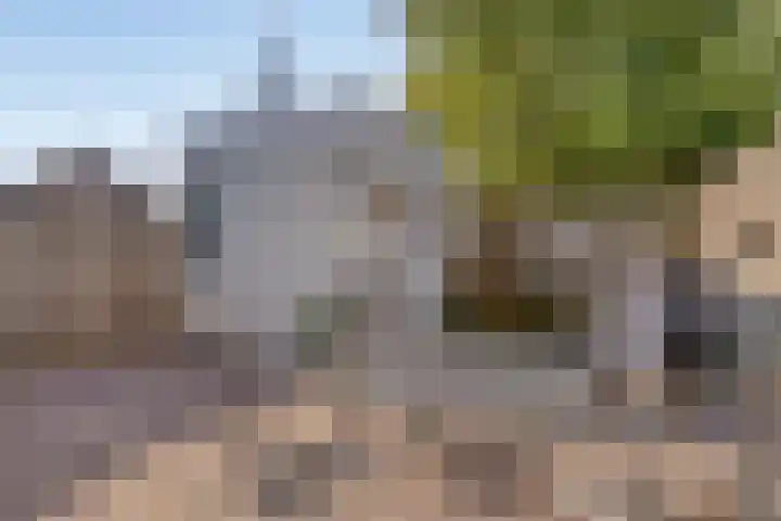 De Schans 1 Haps thumbnail 22