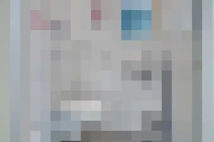 De Schans 1 Haps thumbnail 4