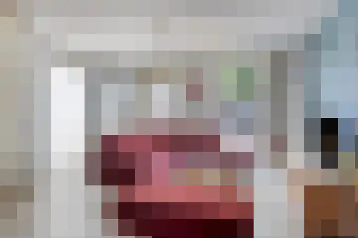 De Schans 1 Haps thumbnail 5