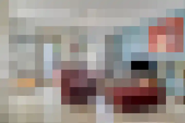 De Schans 1 Haps thumbnail 6