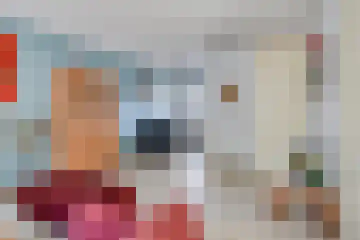 De Schans 1 Haps thumbnail 7