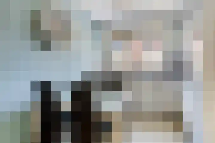 De Schans 1 Haps thumbnail 8