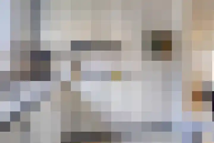 De Schans 1 Haps thumbnail 9