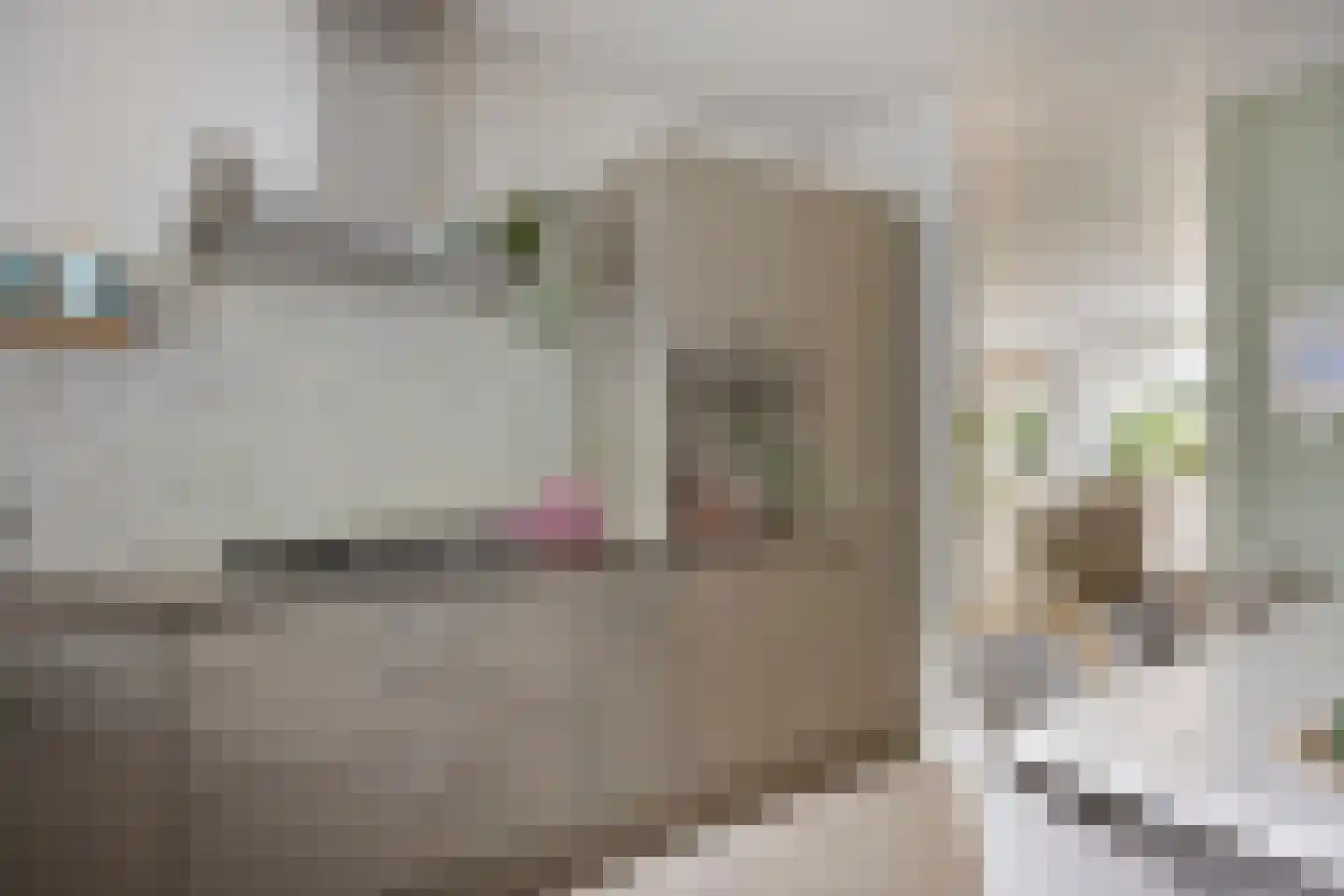 De Schans 1 Tilburg thumbnail 14