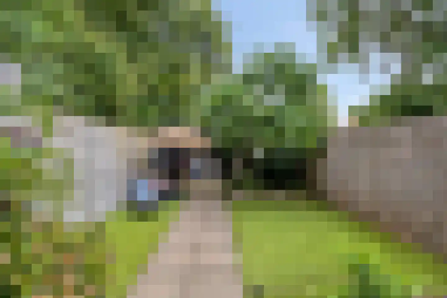 De Schans 1 Tilburg thumbnail 36
