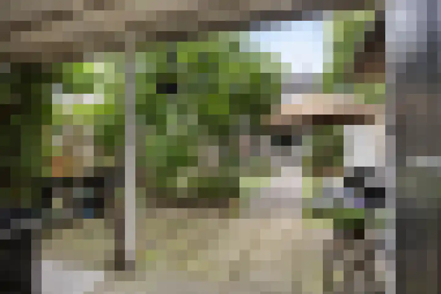 De Schans 1 Tilburg thumbnail 41