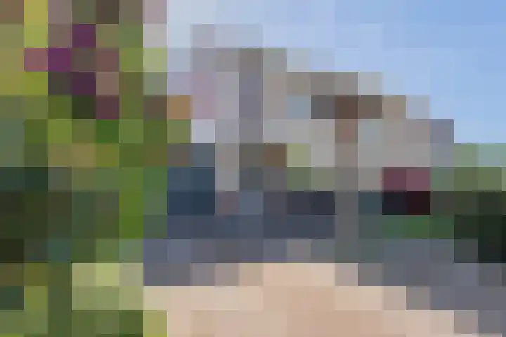 De Schans 10 48 Lelystad thumbnail 34