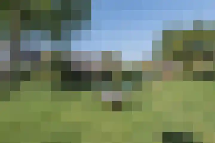 De Schans 10 48 Lelystad thumbnail 38