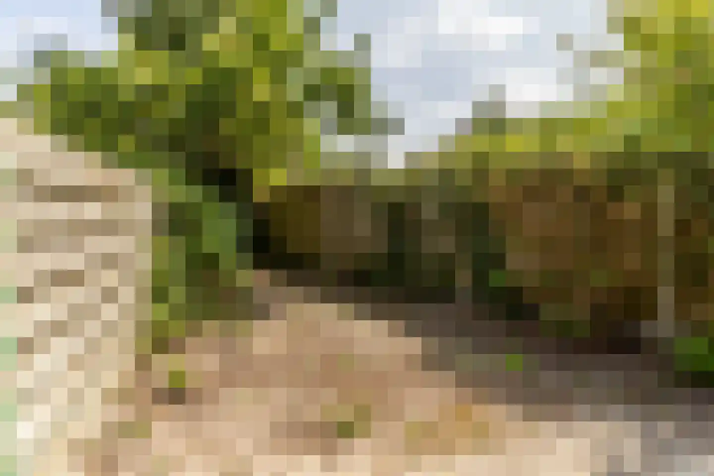 De Schans 10 71 Lelystad thumbnail 33