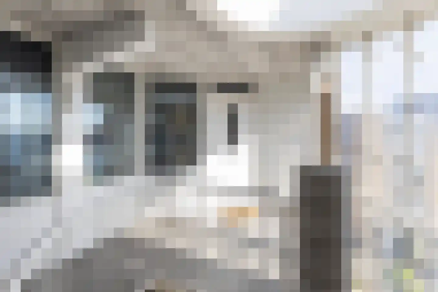 De Schans 10 Maassluis thumbnail 9