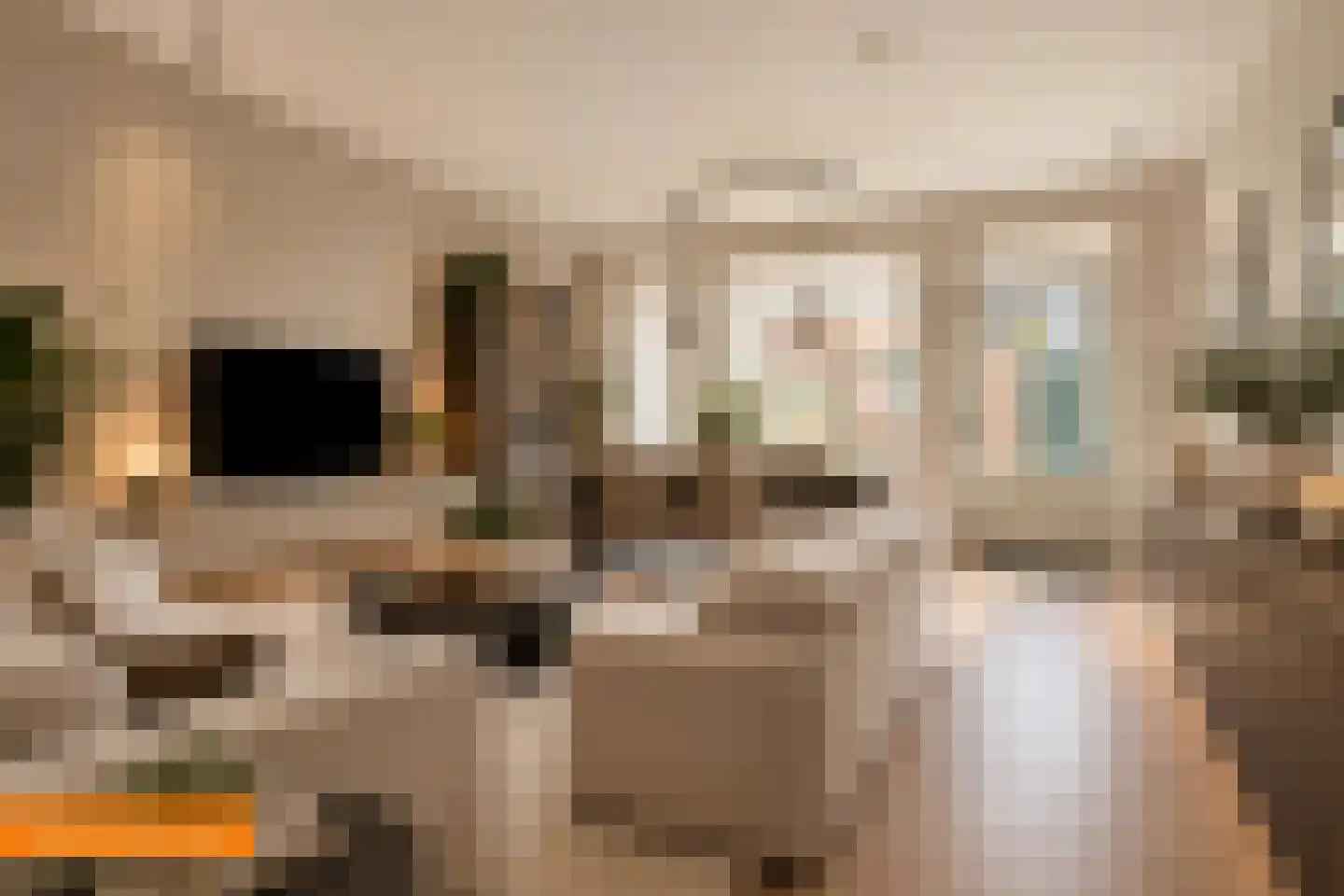 De Schans 10 Tilburg thumbnail 8