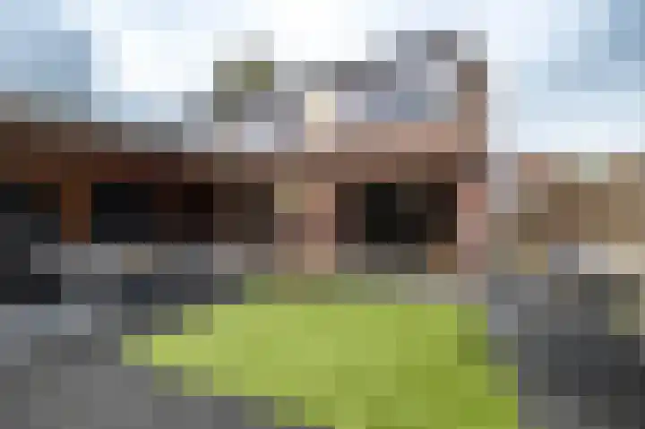 De Schans 10 Winsum thumbnail 24