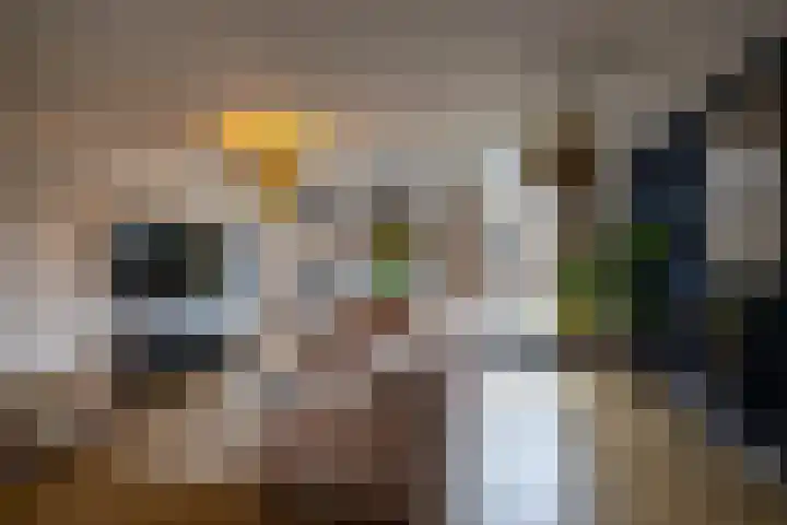 De Schans 10 Winsum thumbnail 4