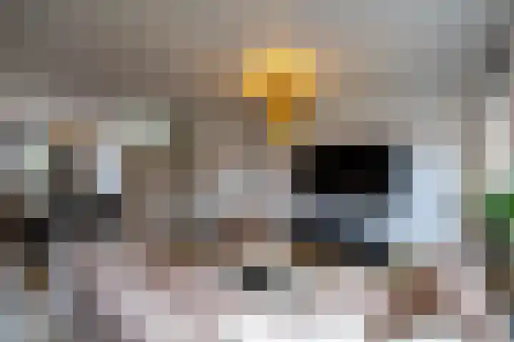 De Schans 10 Winsum thumbnail 5