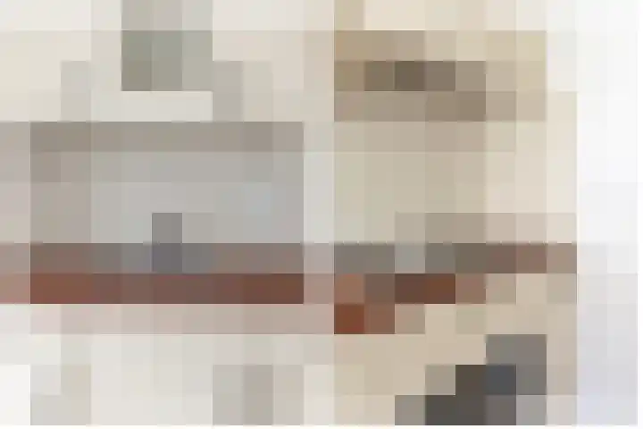 De Schans 101 Hoornaar thumbnail 12