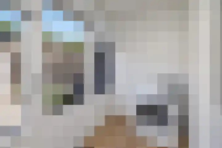 De Schans 101 Hoornaar thumbnail 13