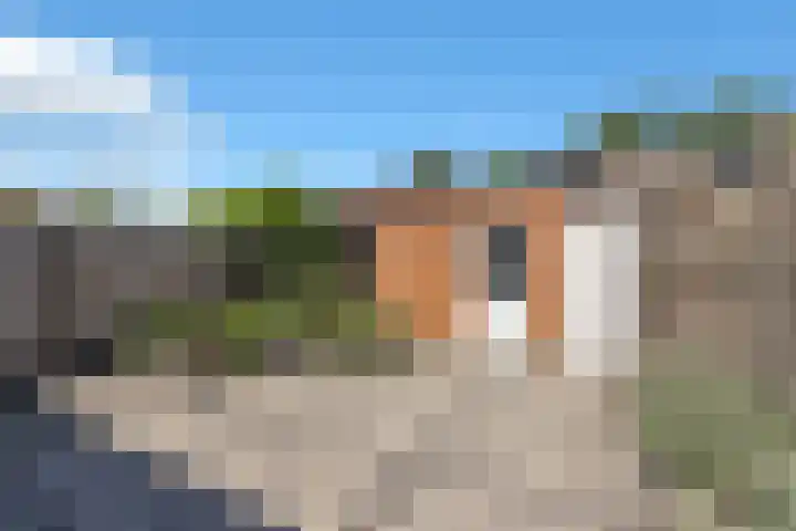 De Schans 101 Hoornaar thumbnail 16