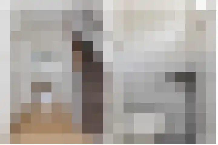 De Schans 101 Hoornaar thumbnail 18