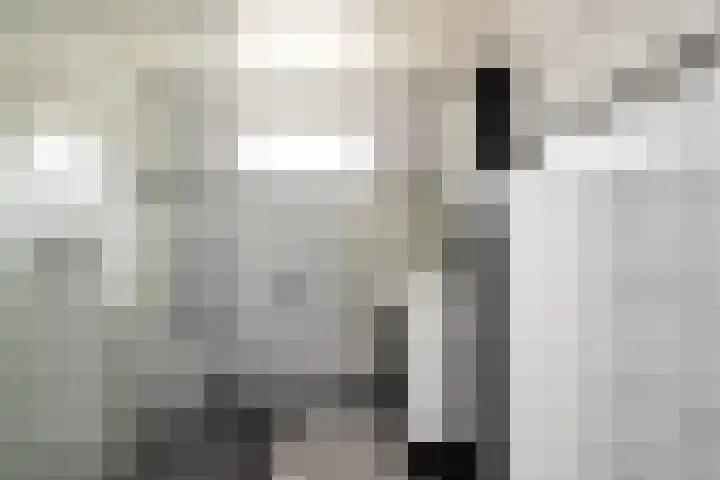 De Schans 101 Hoornaar thumbnail 21
